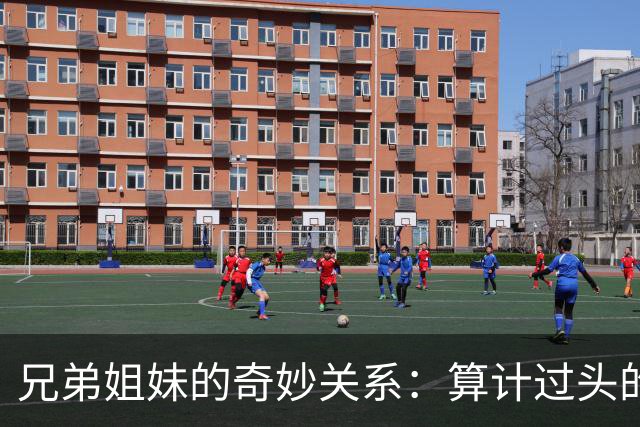 兄弟姐妹的奇妙关系：算计过头的后果，你可曾想过？